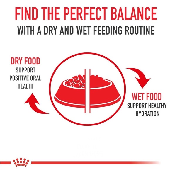 ROYAL CANIN Canine Care Nutrition X-Small Weight Care Small Breed Dry Dog Food - Picture 11 of 11